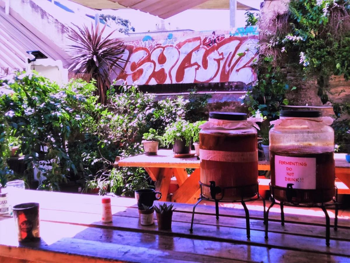 Asylum Sydney Backpackers Hostel ภายนอก รูปภาพ